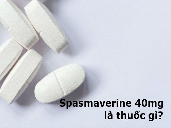 Tác dụng của thuốc spasmaverine?